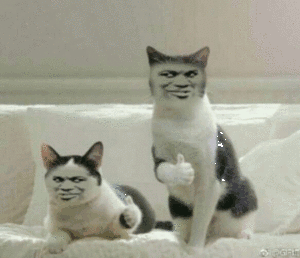 qq飞行岛港服官网 qq飞行岛官网-第2张图片-春华游戏网