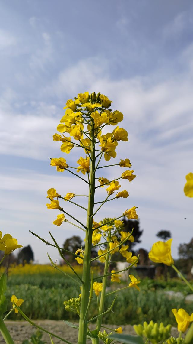 节能电器排名，节能电器排名前十