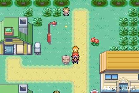 [景观设计口袋公园竞赛]口袋妖怪绿宝石华丽大赛攻略？