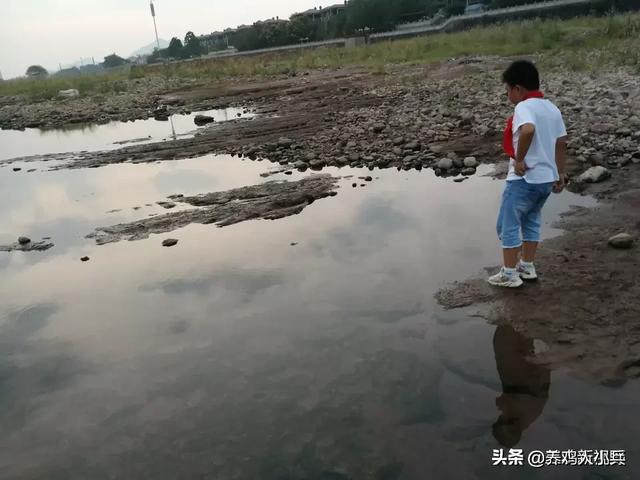 水产养殖设备有哪些品牌 对虾养殖设备？