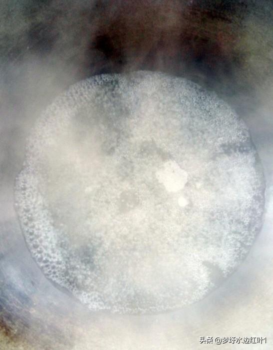 7个月宝宝怎么吃西兰花(图11)