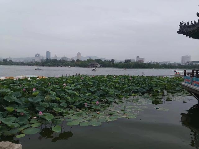 邹平避暑旅游攻略路线， 邹平避暑旅游攻略路线图