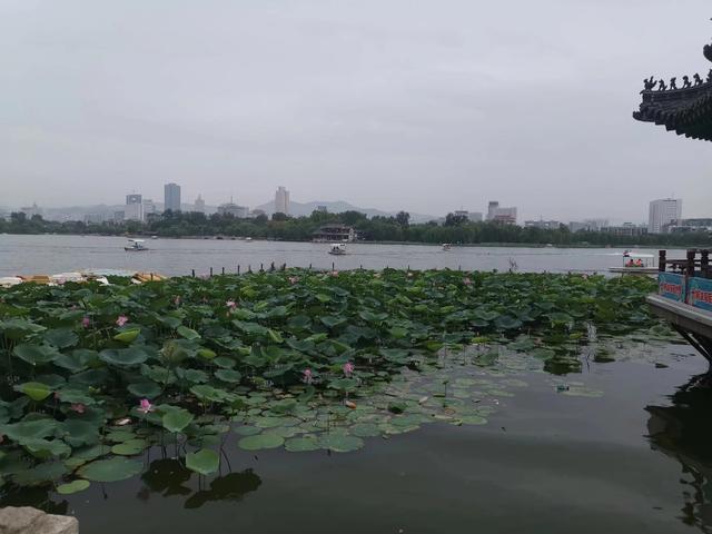 邹平县免费的旅游景点，邹平县免费的旅游景点有哪些