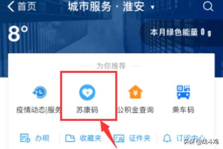 苏康码个人信息查询 苏康码-第3张图片-Game优搜