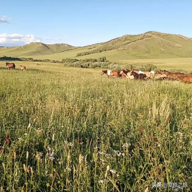 榆林市靖边县纸飞机账号购买服务
