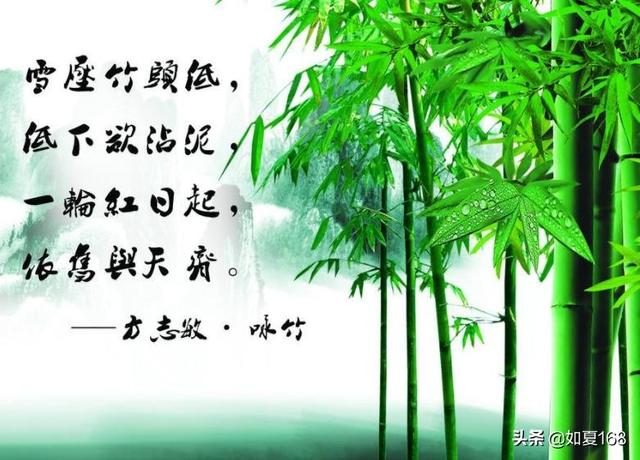 梅兰竹菊四君子?梅兰竹菊四君子的象征意义!