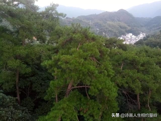 游客从40米高空坠落