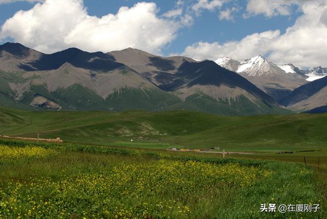 学生旅游去哪好玩又实惠又凉快夏天,学生旅游去哪好玩又实惠又凉快夏天的