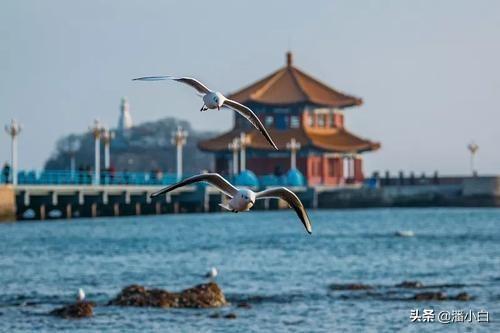 现在去青岛旅游需要带些什么？有哪些需要注意的？：青岛旅游注意事项