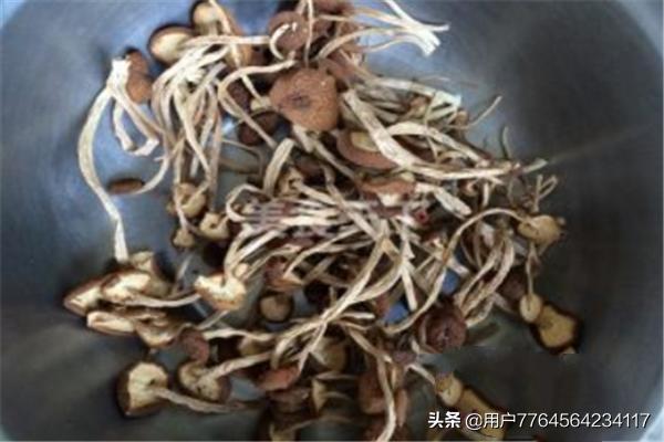 茶树菇的做法大全-茶树菇的做法大全家常