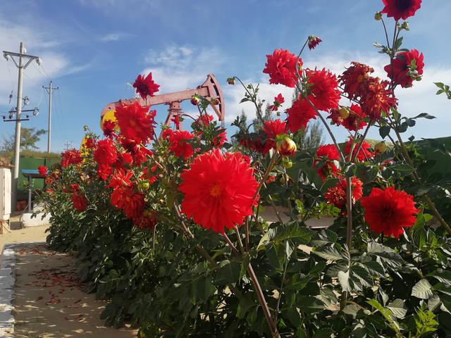 女人很想要的时候怎么办