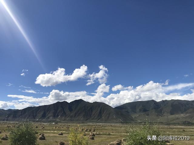才川夫妻的恋爱情况，才川夫妻的恋爱情况 同类型
