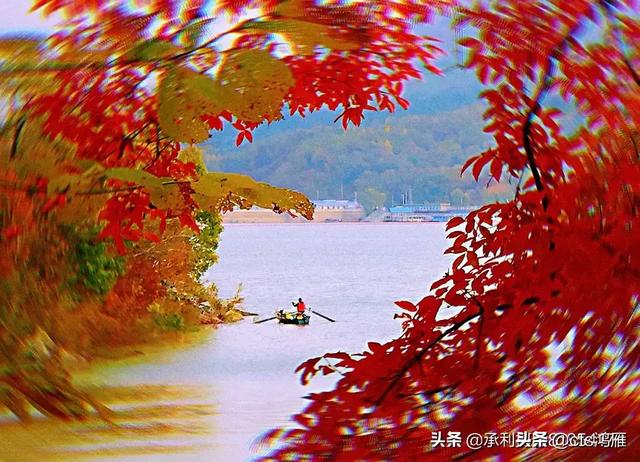 美丽的姑娘播放视频（赞美4岁小女孩漂亮的句子）