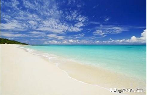 除却巫山不是云曾经沧海难为水全诗的意思