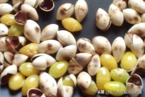 炒白果-炒白果怎么炒才好吃