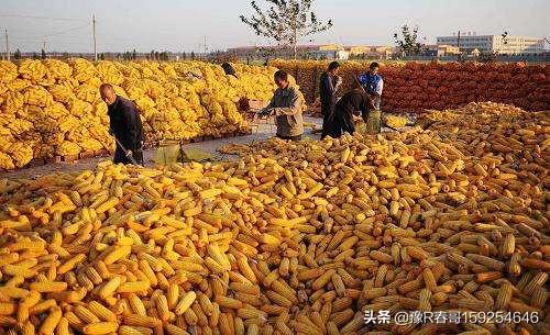 开发app客户需求