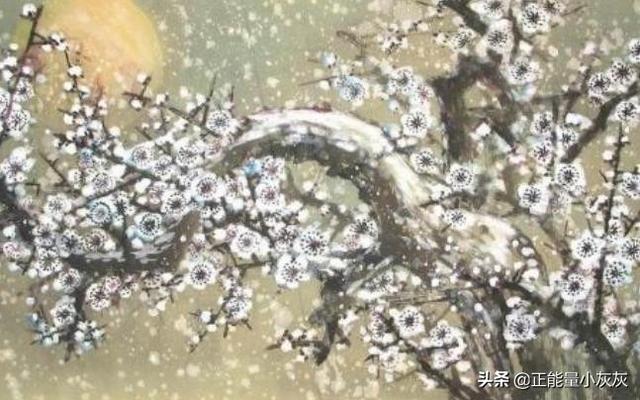 写雪的优美诗句_写雪的优美诗句有哪些