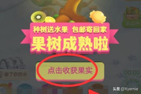 中班丰收的水果教案艺术(图2)