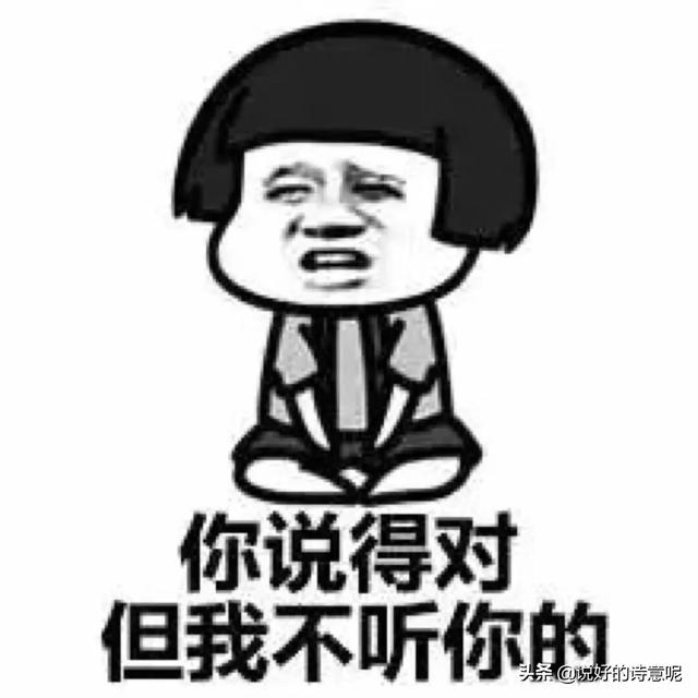 打动女孩子真心话的句子（打动女孩子的真心话 表白的话真实点的）