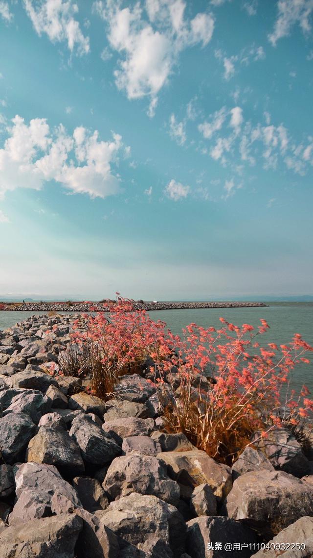 海外生活价值高吗，海外生活价值高吗现在