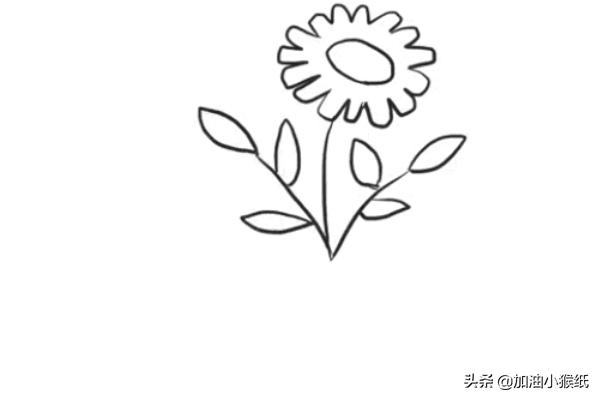 花朵简笔画教程,花朵简笔画教程视频