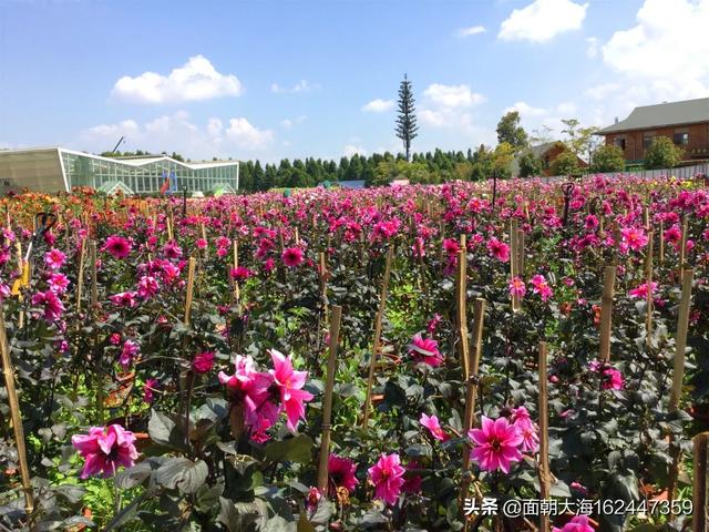 关于学生假期旅游的调查报告-关于学生假期旅游的调查报告怎么写