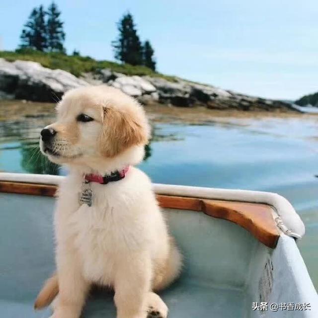 我不可能爱上你全集免费高清无修在线阅读