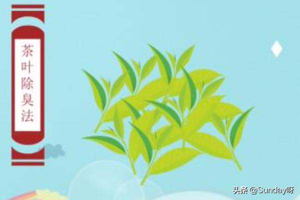 怎么去除冰箱异味(图8)