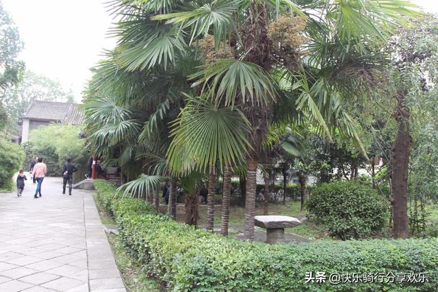 旅游怎样才可以节约钱
