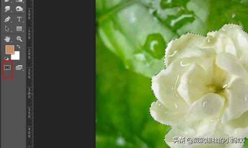 蒙版的作用ps蒙版的作用