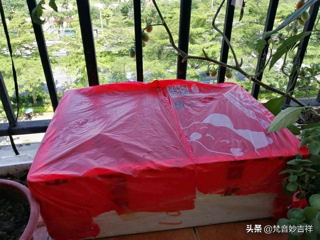 阳台种植花肥料,阳台种植花肥料有哪些