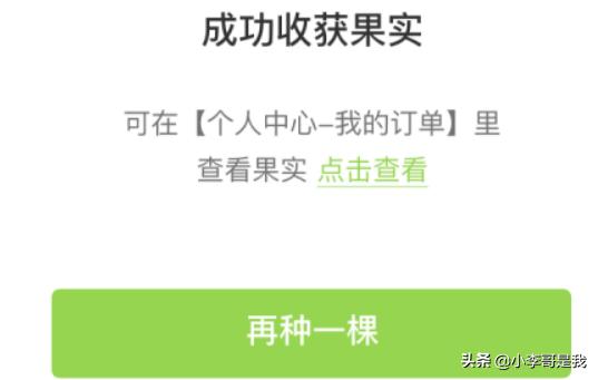 果园网上怎么种植的植物,果园网上怎么种植的植物呢