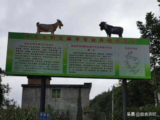 畜牧专业就业前景不好的原因 畜牧学就业前景与方向？