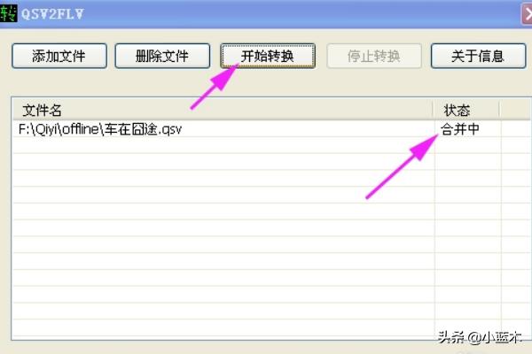 qsv转换器（qsv文件是什么意思？）