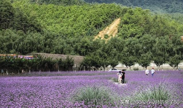 汉中旅游景点排名推荐诸葛古镇