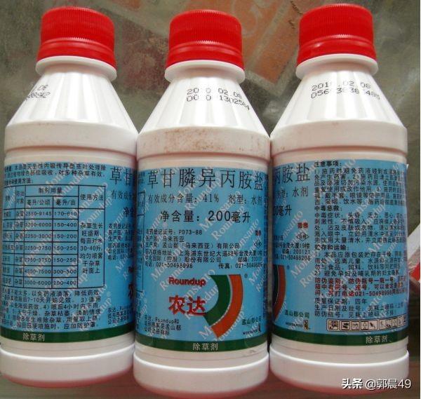 苗圃除草用什么农药
