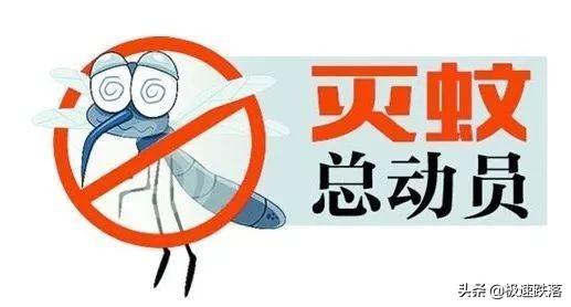 城市蚊子越来越多了，究竟由谁来灭城市蚊子？：广州投放绝育雄蚊子