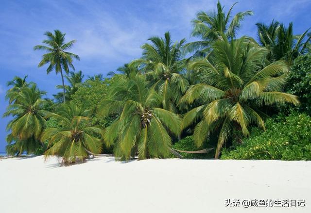 南方冬季旅游景点推荐国内 学生可以去吗知乎-南方冬季旅游景点推荐国内 学生可以去吗知乎