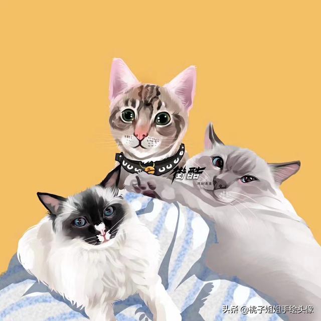 动物的故事图片（动物的故事图片大全）