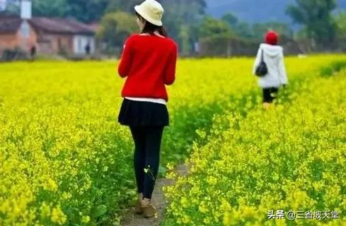 简阳花卉土地出租?简阳花卉土地出租信息!