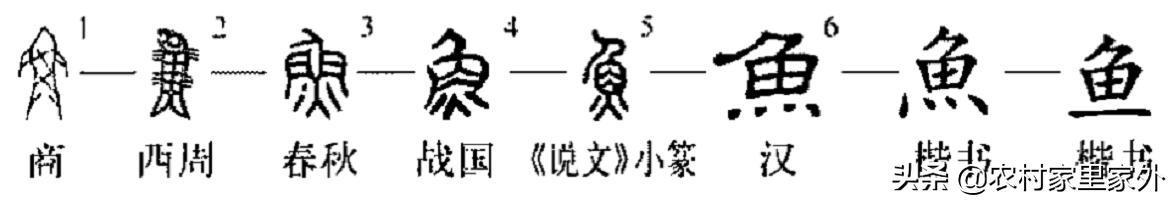 鱼尾行书字体