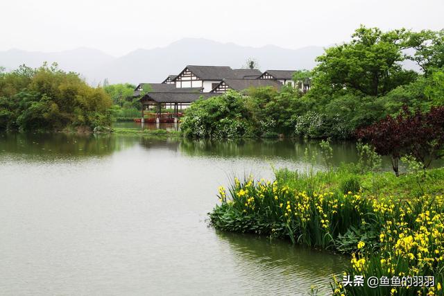 山衔落日浸寒漪是什么意思(草满池塘水满陂，山衔落日浸寒漪.是什么意思？)