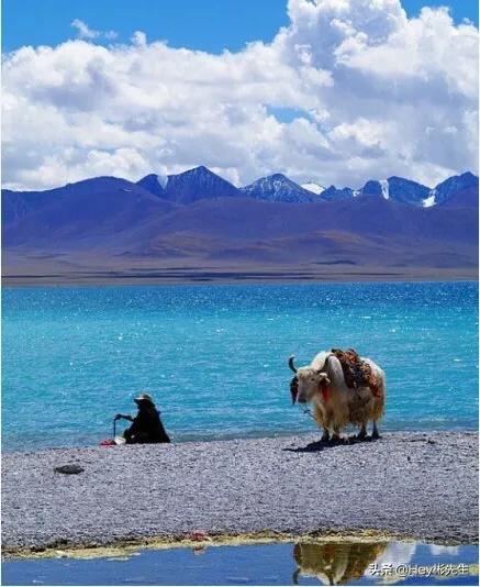 突然好想去旅行，去哪里最好