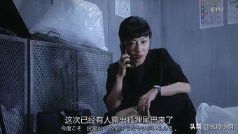 海外生活美剧，海外生活美剧推荐