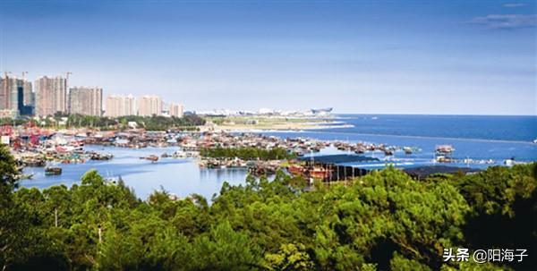 海城二月四日毛猪价格-海城二月四日毛猪价格表