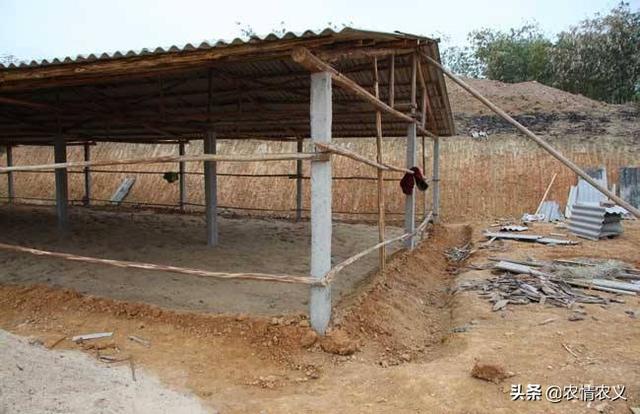 养殖大棚建设视频 蔬菜大棚怎么建造？