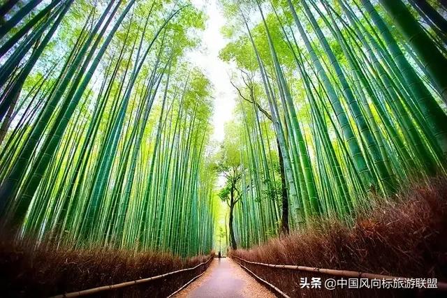 春节旅游穿搭夏天， 春节旅游穿搭夏天图片