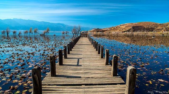 晋中市和顺县纸飞机账号购买服务
