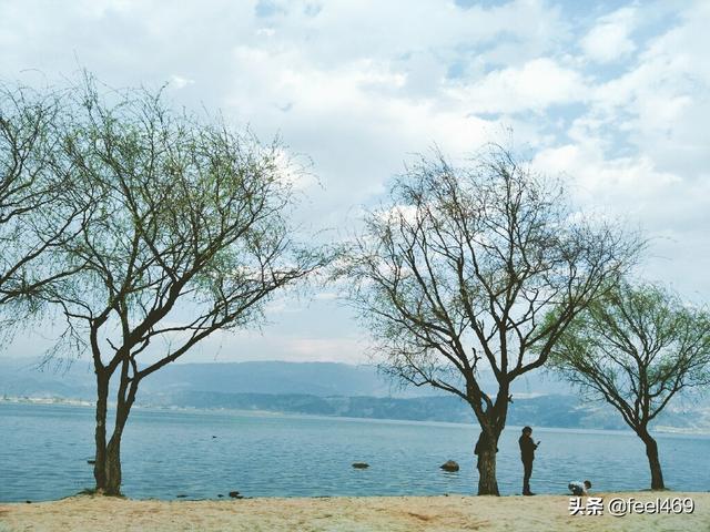 昔我往矣出自哪里（昔我往矣怎么念）