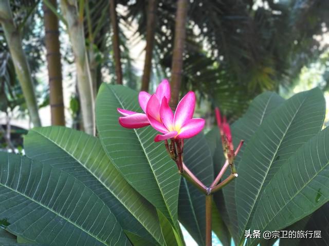 调休后为何那么累呢